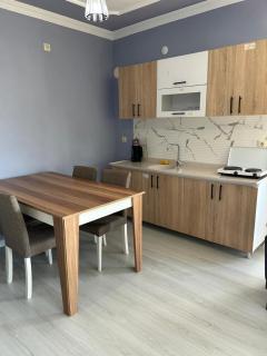 Magnificent nature, magnificent detached - Arsin - 5