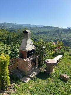 Magnificent nature, magnificent detached - Arsin - 2