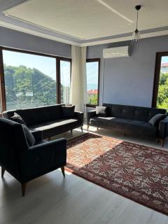 Magnificent nature, magnificent detached - Arsin - 1