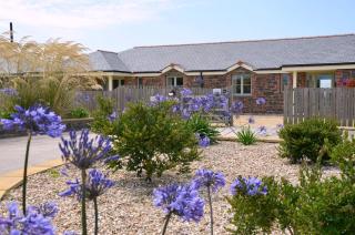 Elm Cottage Delightful 2 bed accessible holiday cottage - Tregoney - 0