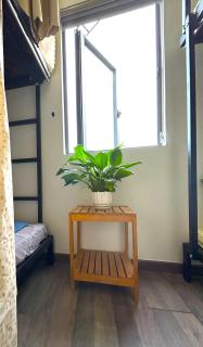 Rami Xanh Stay - Da Nang - 5