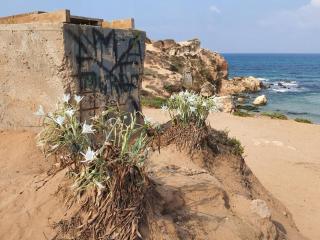 דירה מעוצבת עם נוף מדהים לים - Hadera - 5