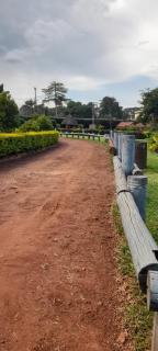 Miji Victoria Room - Jinja - 5