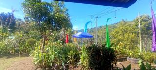 Gosela Bali - Munduk - 7