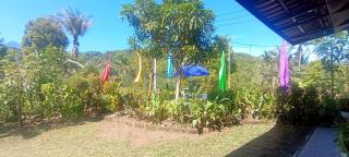 Gosela Bali - 6