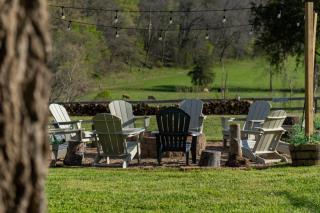 Carlton Marion Inn - 4