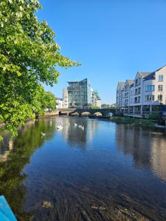 The Glasshouse - Sligo - 9