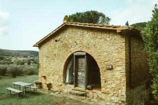 Antica Fattoria San Giovanni - Montescudaio - 7