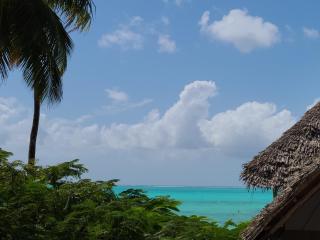 Mbaliparadise - Jambiani - 7