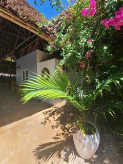 Mbaliparadise - Jambiani - 1