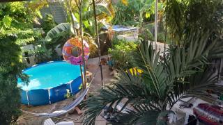 La maison verte - Cayenne - 2