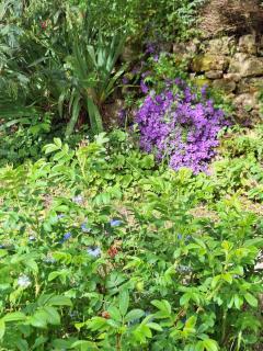 Chambre d'Hôtes Les Bruyères - 9