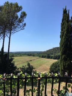Antica Fattoria San Giovanni - Montescudaio - 2
