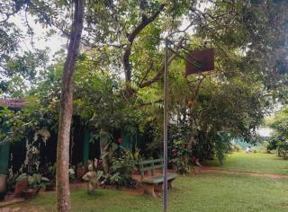Laliz - Galle - 7