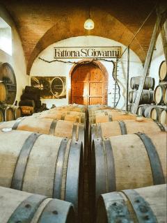 Antica Fattoria San Giovanni - Montescudaio - 5