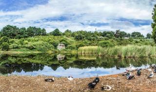 Las Calas A by Villas Rivero - Valleseco - 4