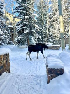 Chateaux DuMont 2724 by SummitCove Lodging - 5