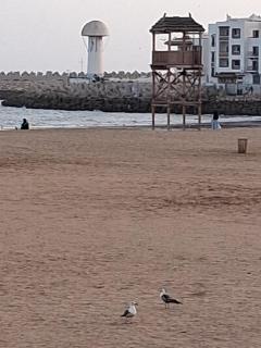 Lars apartment-beach Marina Agadir - Agadir - 6
