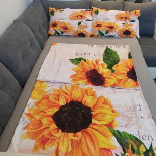 Studio apartman Laura - Vinkovci - 9