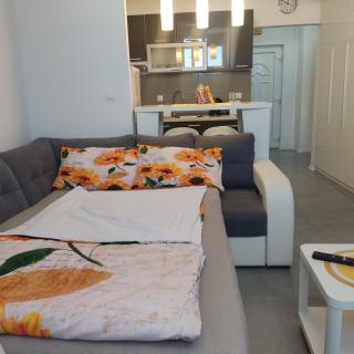Studio apartman Laura - Vinkovci - 3
