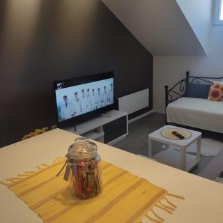 Studio apartman Laura - Vinkovci - 7