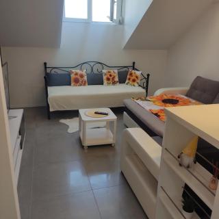 Studio apartman Laura - Vinkovci - 8