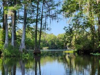 Wise Owl Retreat on the River - Dunnellon - 6