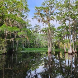 Wise Owl Retreat on the River - Dunnellon - 3