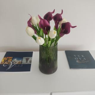 Studio apartman Franka - 8