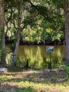 Wise Owl Retreat on the River - Dunnellon - 5