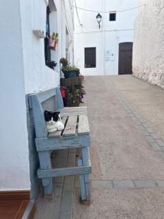 Preciosa vivienda rural en Felix, Alpujarra Almeriense - 9