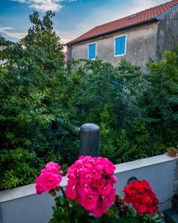 Kuća za odmor Iva - 1