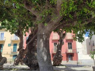 Alla Marina da Pina - Trapani - 7