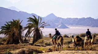 Nabq Adventure Camp - Nabq - 8