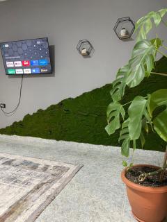 Ayso Inn Tirana 2 City Center - Tirana - 7