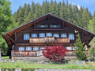 Chalet Gotthelf Gartenstudio, Ferien mit Hund - Adelboden - 8