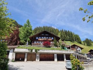 Chalet Gotthelf Gartenstudio, Ferien mit Hund - Adelboden - 7