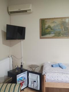 Aleksinac Centar Two-Bedroom Apartment - Aleksinac - 2