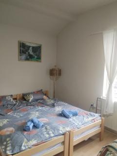 Aleksinac Centar Two-Bedroom Apartment - Aleksinac - 9