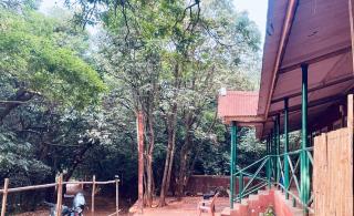 Cozy inn cottage - Mahabaleshwar - 1