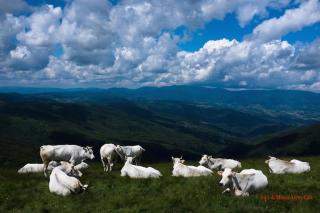 Tuscany, Loro Ciuffenna Mountain Bike&walking - 6