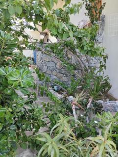 House Under the Pines next to the sea - Mesochórion - 8