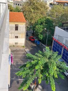 Majestic Flat - Cavala - 4