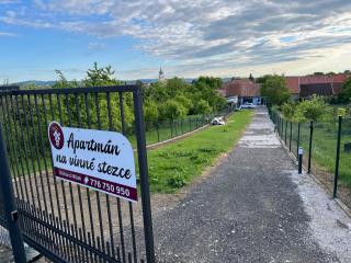 Apartmán na vinné stezce - Blatnice - 0
