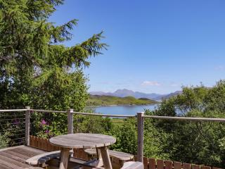 The Lookout - 7