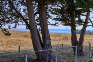 Paradiso-Spring Special - Cambria - 9