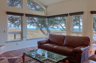 Paradiso-Spring Special - Cambria - 5