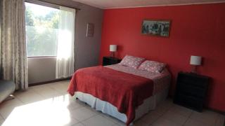 35 Min From Airport Green Hills Lookout - Tapantí - 7