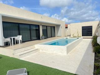 Tebenki Villa · New 3BR Villa Pool Fully AC - Palm-Eagle Beach - 9