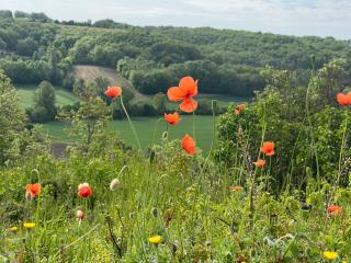 Le Perchoir - Belvèze - 5